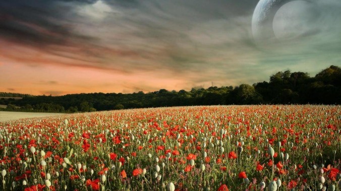 为什么都说 Finder 难用？